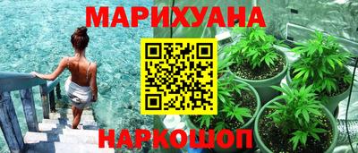 индика Рыбинск