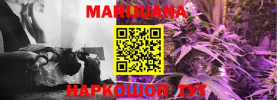 индика Рыбинск