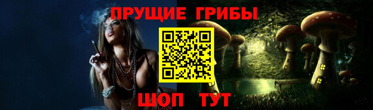 Галлюциногенные грибы Psilocybe  хочу   Ртищево  Вход с VPN 
